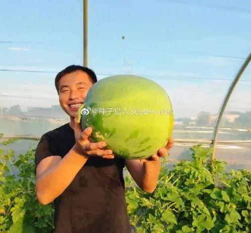 吃瓜四十年,见证娱乐圈风云变幻