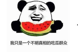 吃瓜大王啥意思,网络热词背后的文化现象