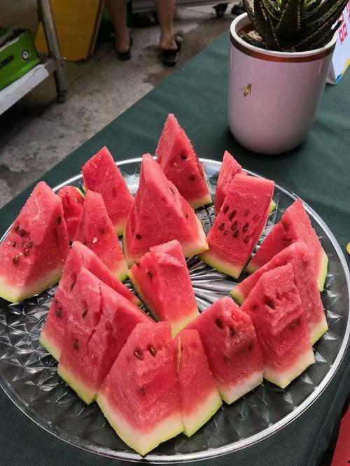 吃瓜高手的图片,图解瓜界风云人物