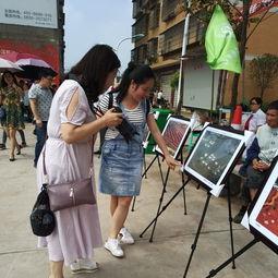 郯城吃瓜群众事件,一场网络舆论的风暴与反思