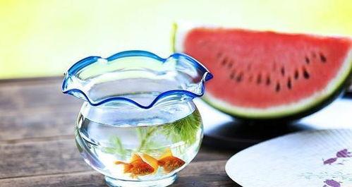 吃瓜蓝黑,一场视觉与味蕾的双重盛宴