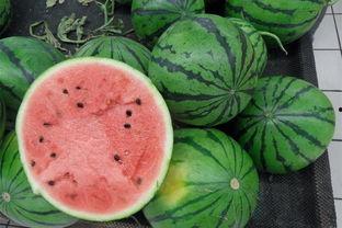 扒妹吃瓜西瓜视频,揭秘娱乐圈幕后故事