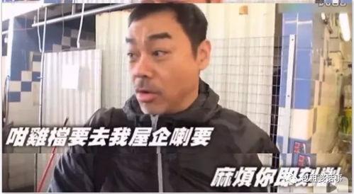 吃瓜群众刘青云视频,揭秘娱乐圈幕后故事