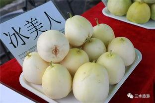 吃雪梨瓜视频大全集,视频大全集精彩回顾