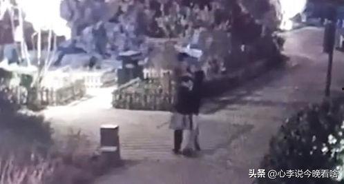 湘潭吃瓜大号事件视频,网络舆论的风暴与反思