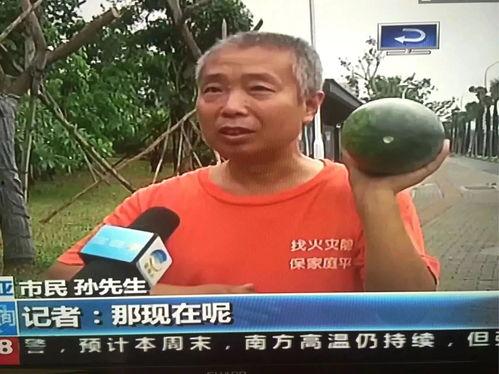 网络热点吃瓜群众