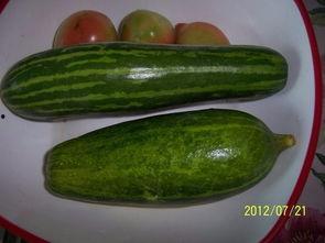 江西古茗吃瓜事件视频